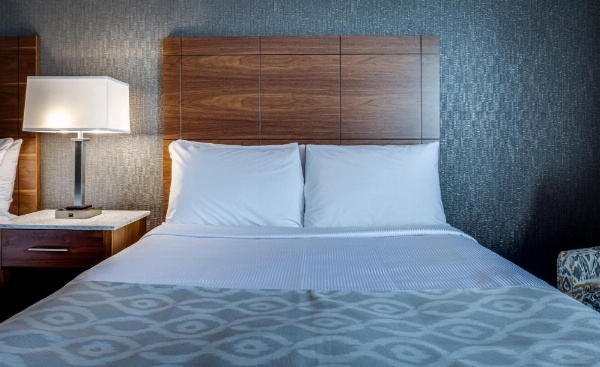 Monte Carlo Inn Markham image 14